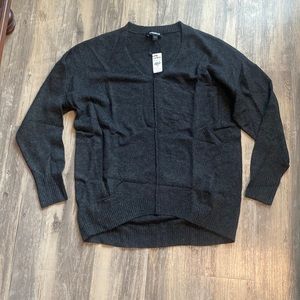 Express brand sweater